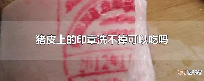 猪皮上的印章洗不掉可以吃吗
