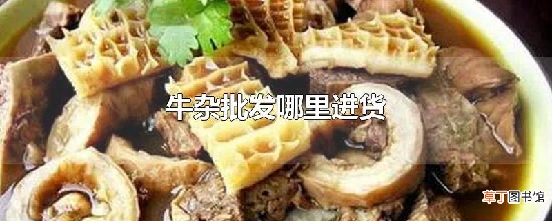 牛杂批发哪里进货