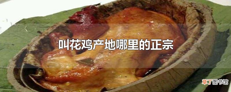 叫花鸡产地哪里的正宗