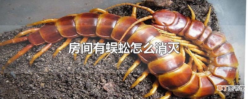 房间有蜈蚣怎么消灭