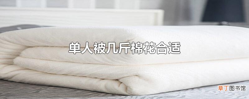 单人被几斤棉花合适
