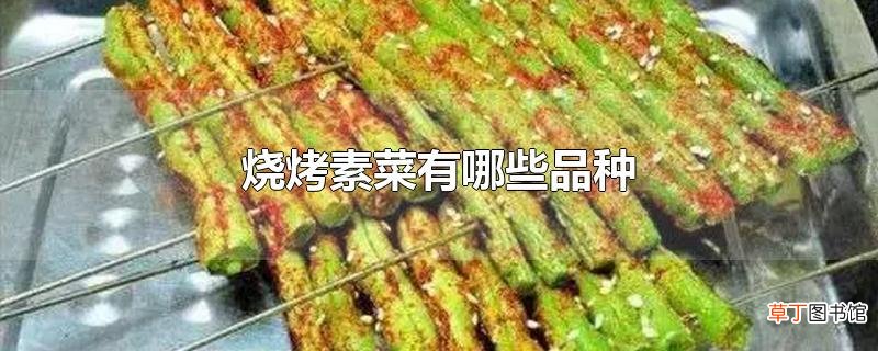 烧烤素菜有哪些品种