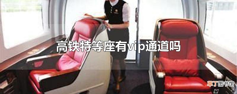 高铁特等座有vip通道吗