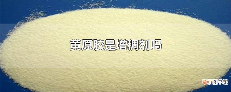 黄原胶是增稠剂吗