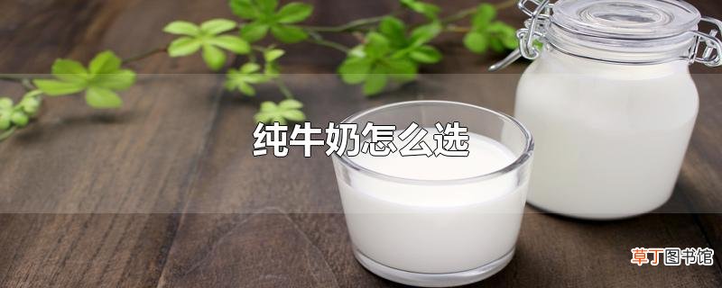纯牛奶怎么选