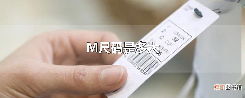 M尺码是多大
