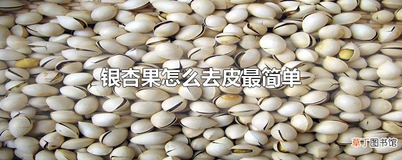 银杏果怎么去皮最简单