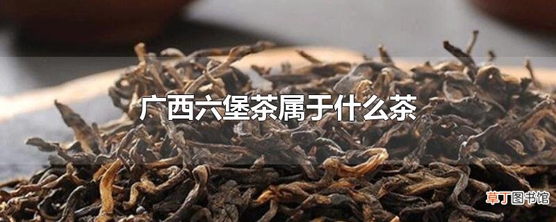 广西六堡茶属于什么茶