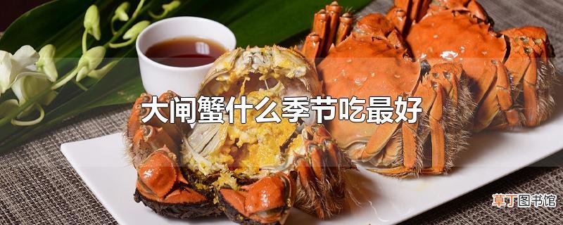 大闸蟹什么季节吃最好