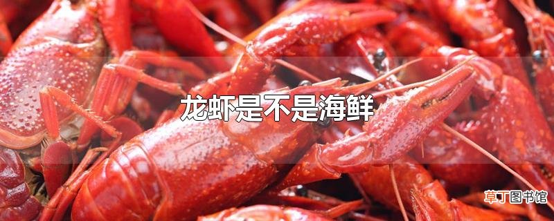 龙虾是不是海鲜