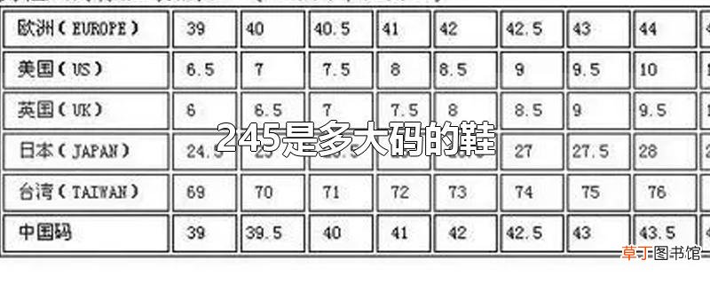 245是多大码的鞋