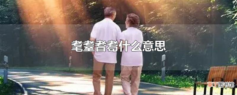 耄耋耆耈什么意思