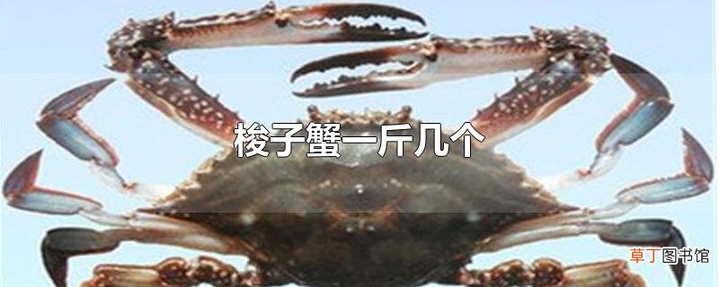梭子蟹一斤几个