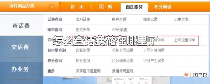 怎么查话费花在哪里了