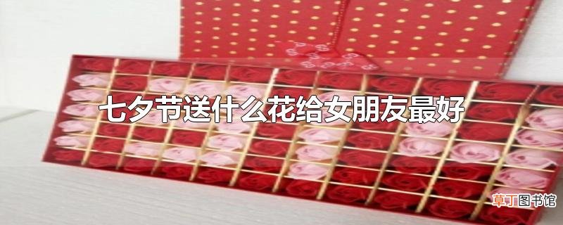 七夕节送什么花给女朋友最好