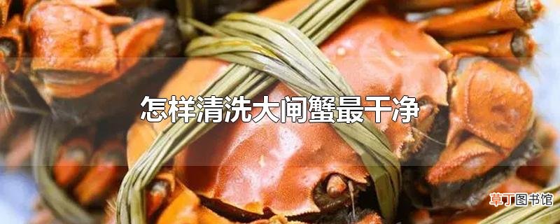 怎样清洗大闸蟹最干净