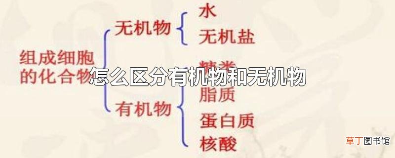 怎么区分有机物和无机物