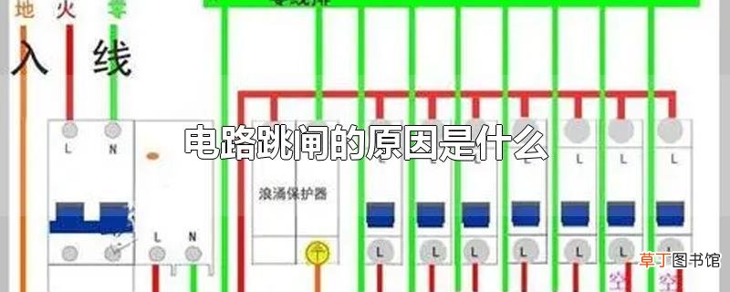 电路跳闸的原因是什么