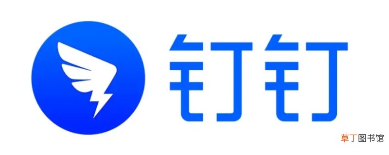 钉钉直播连麦可以不露脸吗