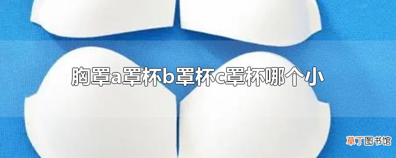 胸罩a罩杯b罩杯c罩杯哪个小