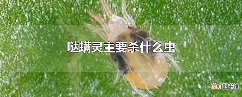 哒螨灵主要杀什么虫
