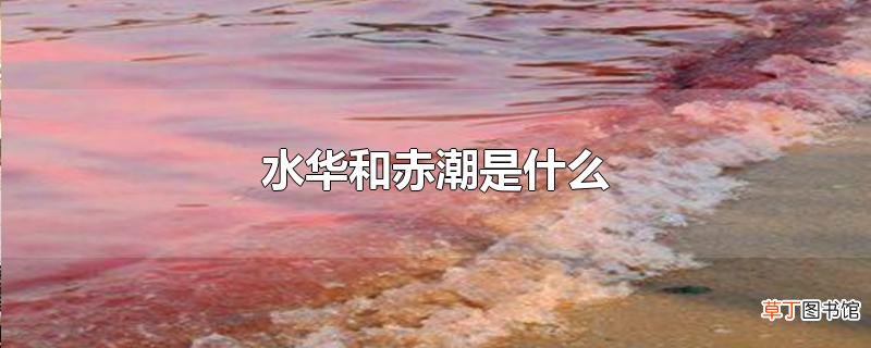 水华和赤潮是什么