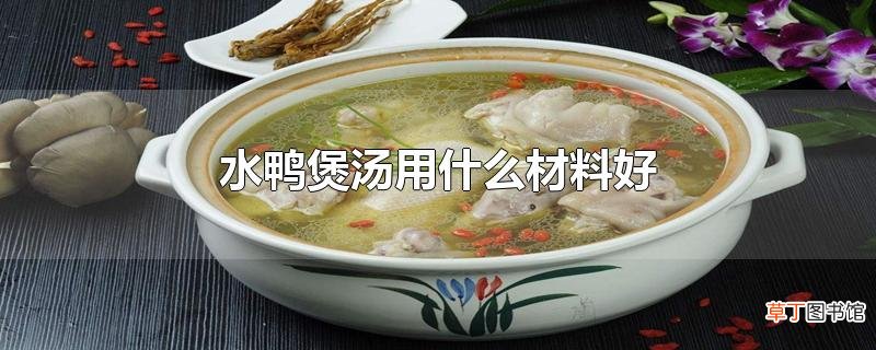 水鸭煲汤用什么材料好