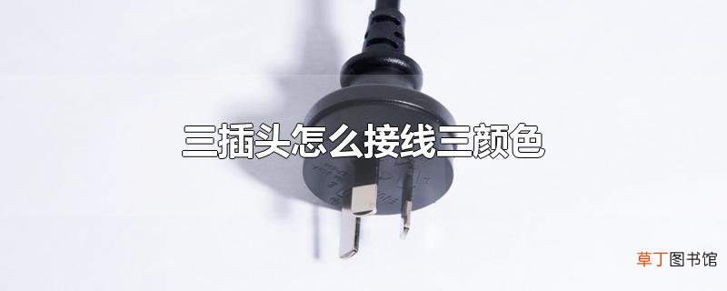 三插头怎么接线三颜色