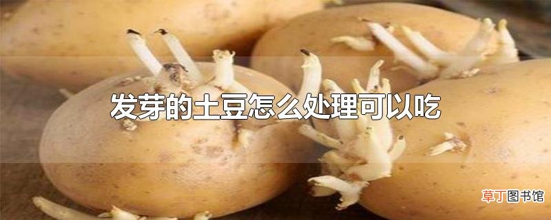 发芽的土豆怎么处理可以吃