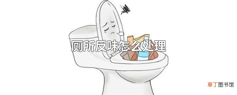 厕所反味怎么处理
