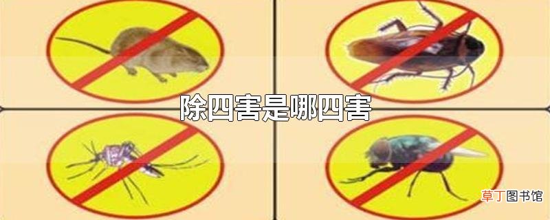 除四害是哪四害
