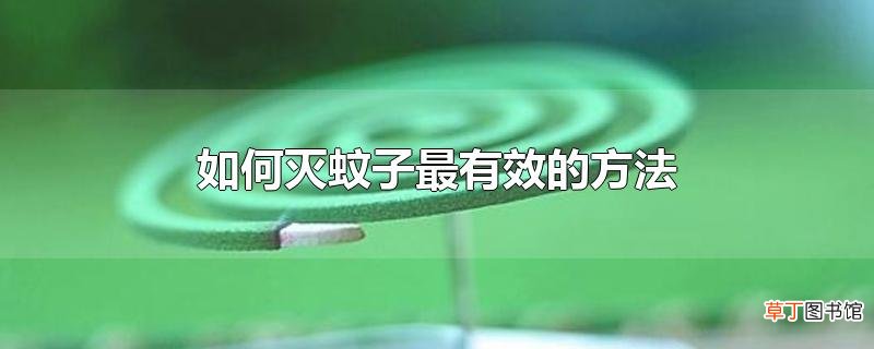 怎么灭蚊子最有效的方法