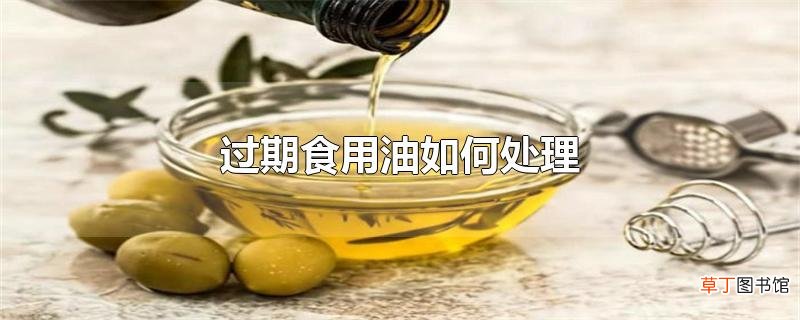 过期食用油怎么处理
