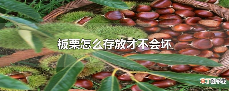 板栗怎么存放才不会坏
