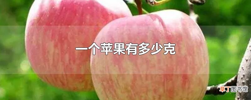 一个苹果有多少克