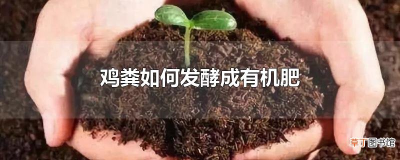 鸡粪怎么发酵成有机肥