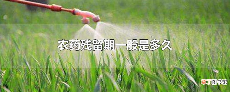 农药残留期一般是多久
