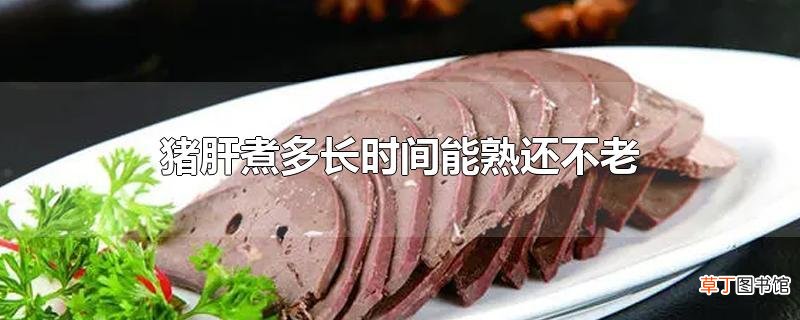 猪肝煮多长时间能熟还不老