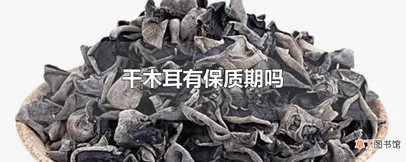 干木耳有保质期吗