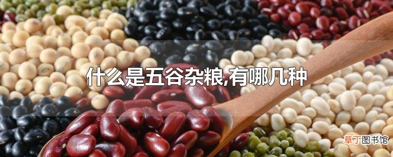 什么是五谷杂粮,有哪几种