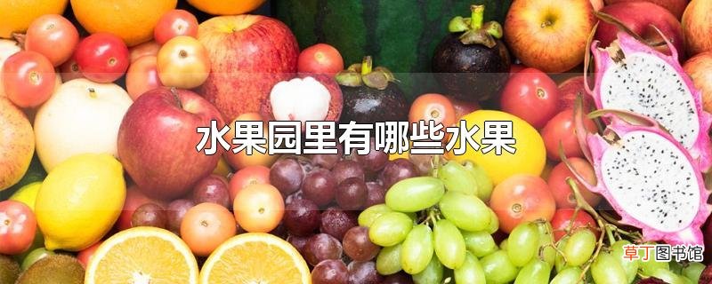 水果园里有哪些水果