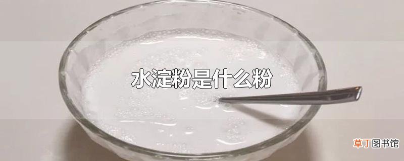水淀粉是什么粉