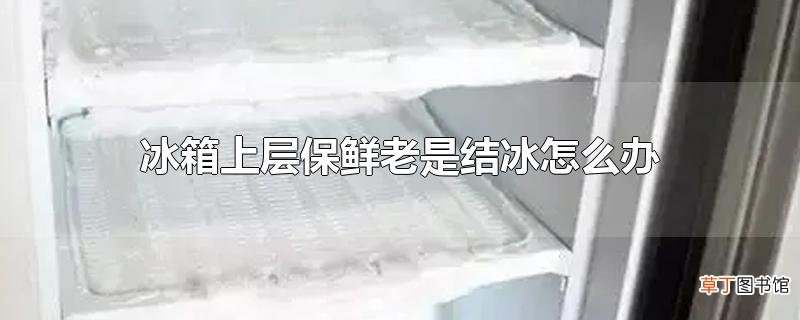 冰箱上层保鲜老是结冰怎么办