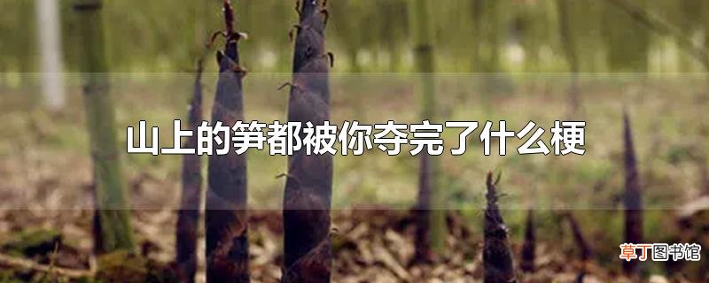 山上的笋都被你夺完了什么梗