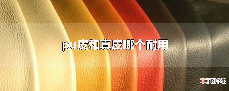 pu皮和真皮哪个耐用