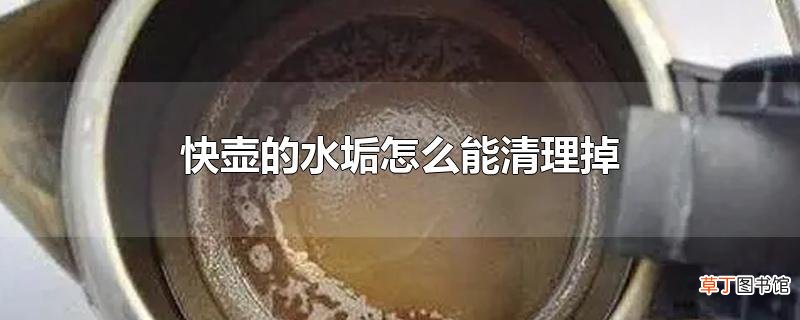 快壶的水垢怎么能清理掉