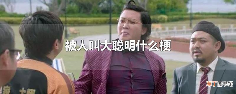 被人叫大聪明什么梗