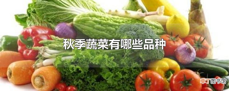 秋季蔬菜有哪些品种