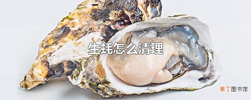 生蚝怎么清理