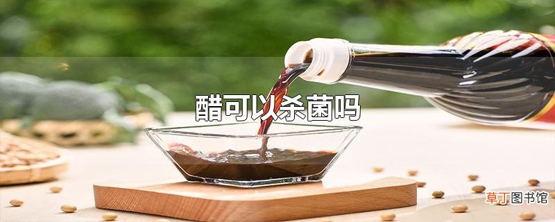 醋可以杀菌吗